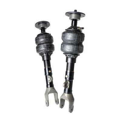 Ridetech 13042501 Front HQ ShockWaves for 05-23 Challenger, Charger, Magnum & 300 RWD