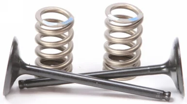 Prox Steel Intake Valve/Spring Kit – 28.SIS2414-2