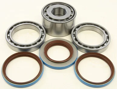 All Balls Rear Differential Bearing And Seal Kit – 25-2098
