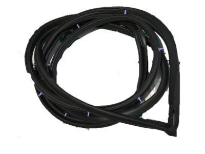 Toyota 67861-60100 Front Door Weatherstrip Right Hand