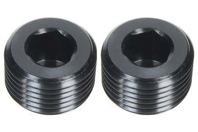 Allstar Performance Allen Plugs NPT 1/16in 2pk ALL49800