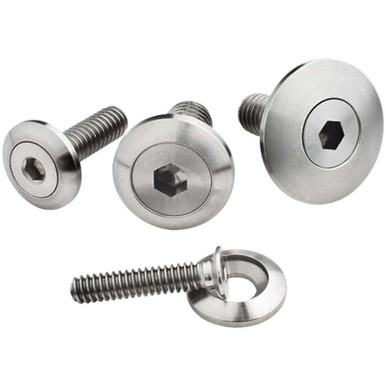 1/4-20 x 1in SS Bolts Pair BSP66130