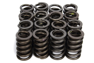 1.265 Valve Springs w/ Damper 98213RS