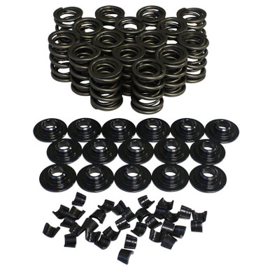 1.465 Dual Valve Spring Kit w/Damper 98438-K12