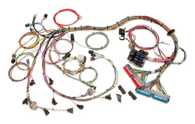 Painless Wiring 99-02 GM LS1 Fuel Inj. Wiring Harness PWI60508