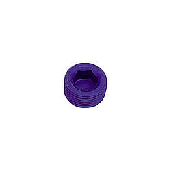 XRP 1/16 Pipe Plug (Allen) (2pk) XRP993201