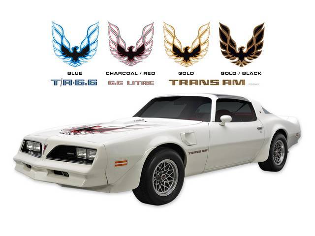 Stripe Kit, Trans Am, Gold/Clear/Black/Orangelooping style Trans Am firebird hood decal, Block-Style lettering decals, 7-pc kit