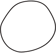 Pentair American 18 Inch Tank O-ring for Filter prior to 11-94 53002800Z