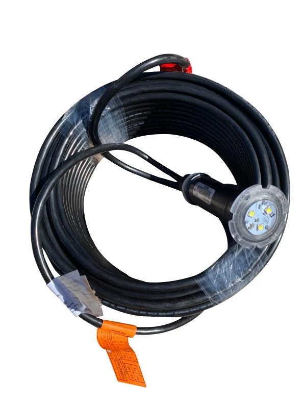 Pentair GloBrite White LED 15W 12V 100FT Cord – 602104