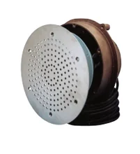 Pentair – Paragon Stainless Steel Grille for Underwater Speaker – 68103SS