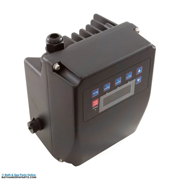 Raypak Programmable Controller [Protege RPVSP1] (018236F)