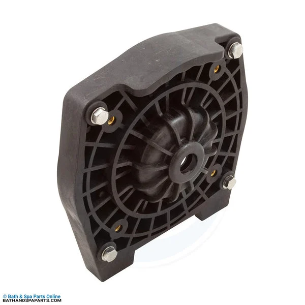 Raypak Seal Plate Assy [Protege RPVSP1 3/4″ Flange w/o O-Ring] (018234F)
