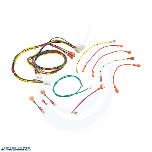Raypak Wire Harness [RP2100 R185–R405 IID] (005270F)