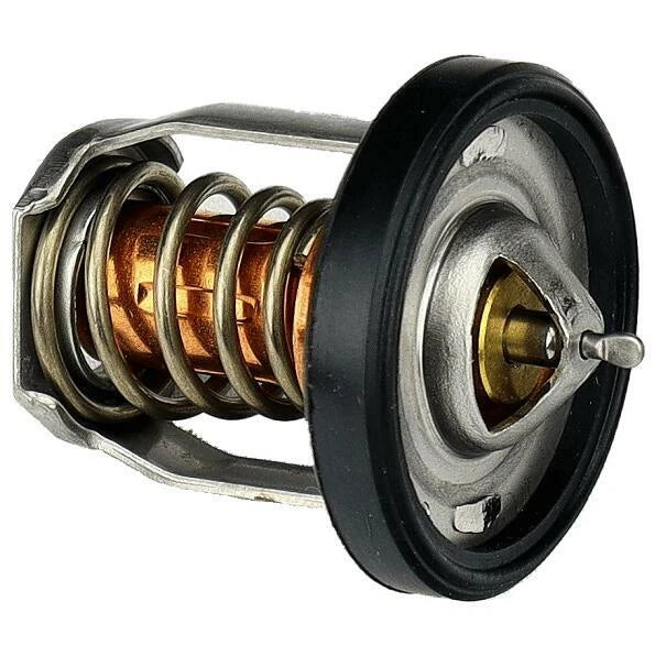 Thermostat 17670-91J01 for Suzuki Outboard DF 2.5HP 4HP 6HP (00)