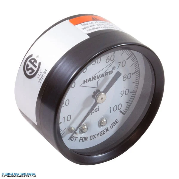 Speck Pumps ACF Filter Pressure Gauge (7200039349)