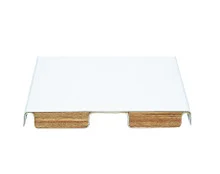 SR Smith – Fibre-Dive Board, 6′ Radiant White W/ Matching Tread – 66-209-266S2-1