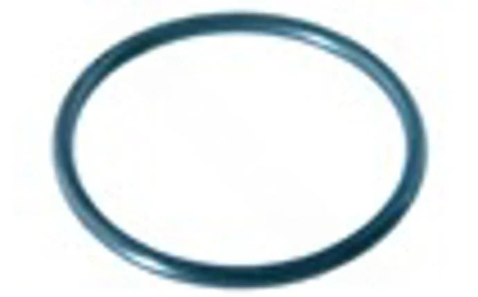 Waterway 805-0145 2″ Tailpiece O-Ring