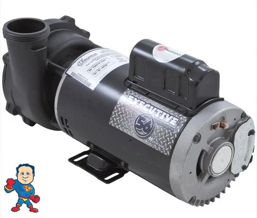 Waterway Executive 5HP 230V 2-Speed Spa Pump 56FR 16.4A 2″x2″ | Global